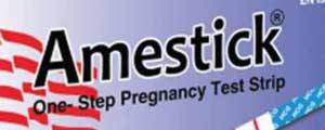 Amestick Logo